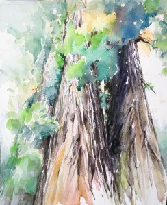 MaasNancy_MightyReds