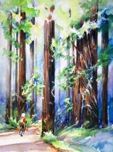 MaasNancy_WalkRedwoods