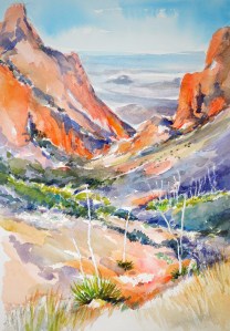 SWAChisos mtn window